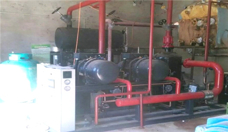 保山蔬菜冷庫實(shí)拍